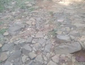 IMG 20231031 WA0048