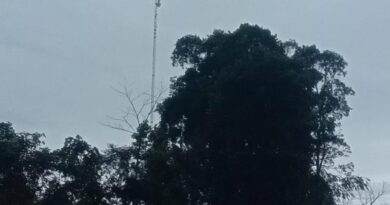 IMG 20250222 WA0056