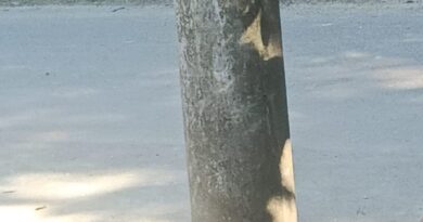 IMG 20250531 WA0021