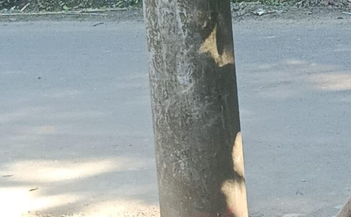 IMG 20250531 WA0021
