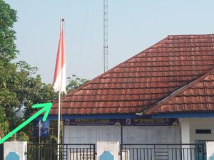 IMG 20250731 WA0018