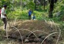 Jejak Sejarah Ulu Sontang: Makam Leluhur sepanjang +-4 m,Sutan Sinomba di Pasaman Barat