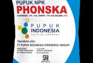 IMG 20250923 WA0009