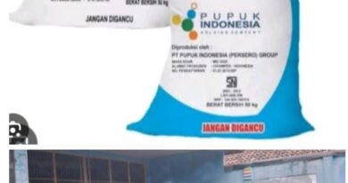 IMG 20251012 WA0013